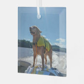 Speciale bestelling Carol B Goudse retriever Glas Ornament (Voorkant links)
