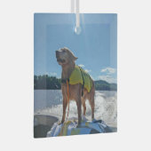 Speciale bestelling Carol B Goudse retriever Glas Ornament (Voorkant Rechts)