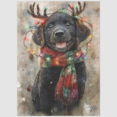 Speciale decoupage Zwarte Lab Puppy Noah Tissuepapier (Voorkant)