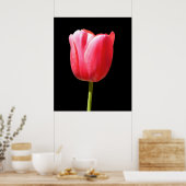 Speciale Enkele Steel Tulp Schilderij Poster (Keuken)