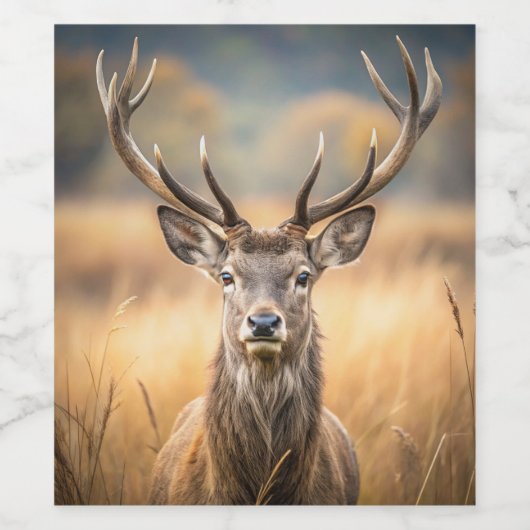 Speciale fles wijn etiket (Enkel label)