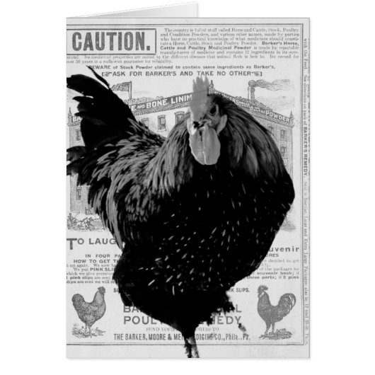 Speciale gevogelte van Baker (Voorkant)