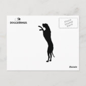 Speciale Herder Briefkaart (Achterkant)
