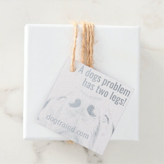 Speciale honden trainer tags (Met doos)