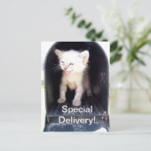 Speciale kat briefkaart (Staand voorkant)