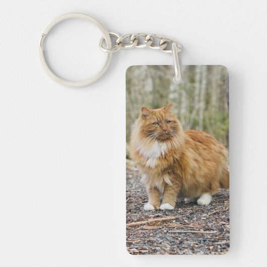 Speciale Kat Nemo Sleutelhanger (Voorkant)