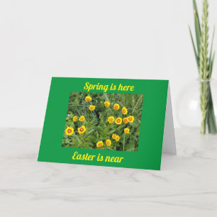 SPECIALE LENTEN EN PASEN DAG VOOR SPECIALE MENSEN  FEESTDAGEN KAART