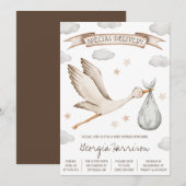 Speciale levering! Bruin en Tan Stork Baby shower Kaart (Voorkant / Achterkant)