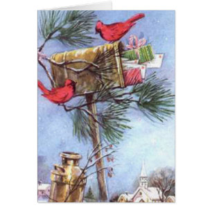 Speciale levering, Kardinalen bij een Snowy Mailbo