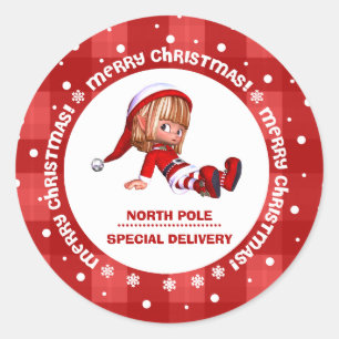 Speciale levering met de Noordpool Kerstmis Ronde Sticker