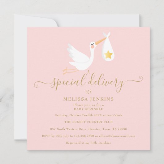 Speciale levering Ooievaar Roze Baby shower Sprink Kaart (Voorkant)