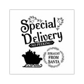 Speciale levering Rechtstreeks van Santa Rubberstempel (Afrduk)