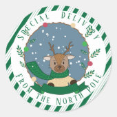 Speciale levering rendiergroene stickers (Voorkant)