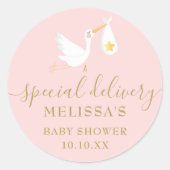 Speciale Levering Stork Baby Meisje Roze Douche Ronde Sticker (Voorkant)
