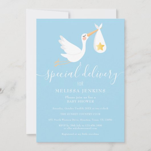 Speciale levering Stork Star Baby shower Sprinkle Kaart (Voorkant)