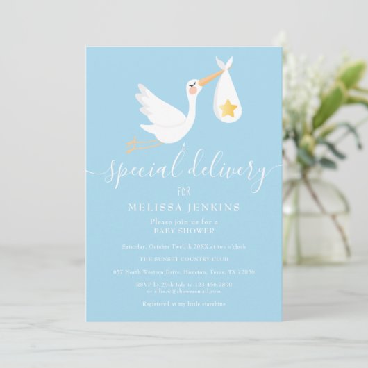 Speciale levering Stork Star Baby shower Sprinkle Kaart (Staand voorkant)