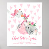 Speciale levering Stortplaats Elephant Baby geboor Poster (Voorkant)