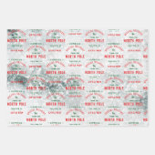 Speciale levering van de Noordpool Snowy Inpakpapier Vel (Voorkant 2)