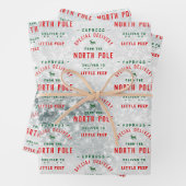 Speciale levering van de Noordpool Snowy Inpakpapier Vel (In situ)