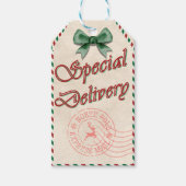 Speciale levering van Santa Christmas Gift Label Cadeaulabel (Voorkant)