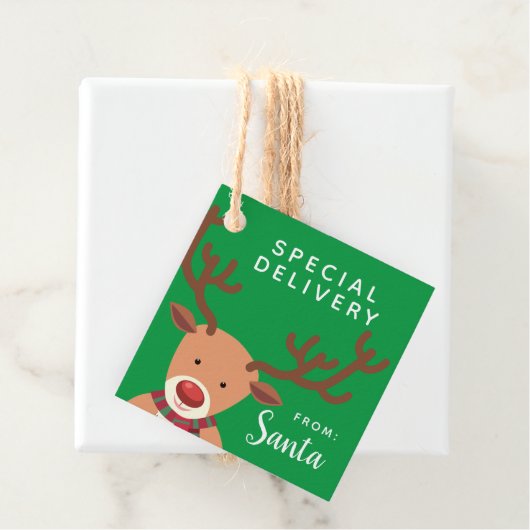 Speciale levering vanaf de kerstman bedankjes labels (In situ)
