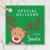 Speciale levering vanaf de kerstman bedankjes labels (Voorkant)