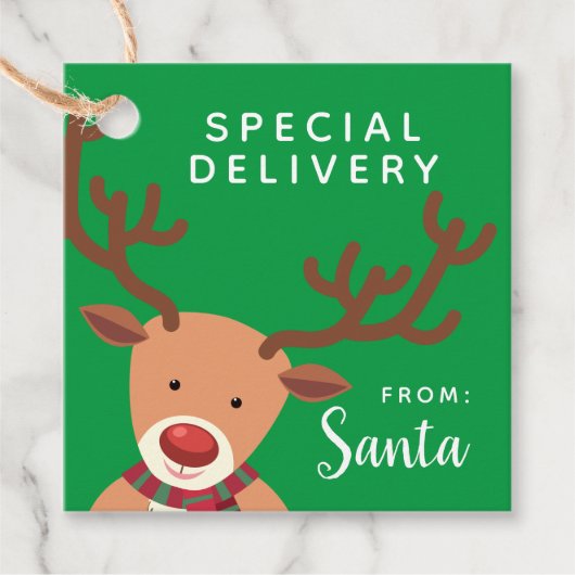 Speciale levering vanaf de kerstman bedankjes labels (Voorkant)