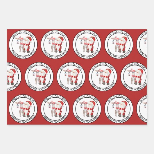 Speciale levering vanaf kerstset inpakpapier vel (Voorkant 2)