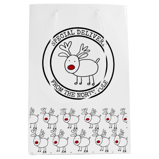 Speciale levering vanaf Noordpool Kinder Kerst Medium Cadeauzakje (Voorkant)