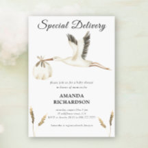 Speciale Levering Waterverf Ooievaar Baby Shower