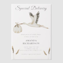Speciale Levering Waterverf Ooievaar Baby Shower