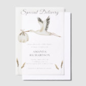 Speciale Levering Waterverf Stork Baby shower Vellum Uitnodigingen (Offset)
