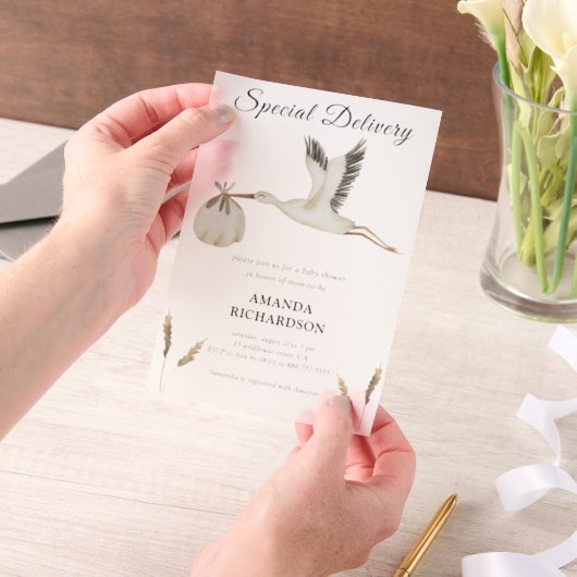 Speciale Levering Waterverf Stork Baby shower Vellum Uitnodigingen (Draagbaar)
