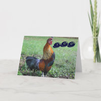 Speciale Orde Haan Kraaien 100ste Verjaardag Kaart