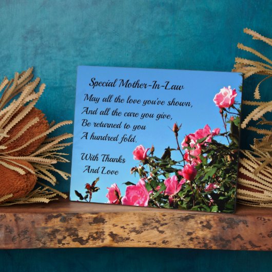 Speciale schoonmoeder fotoplaat (Zijkant)