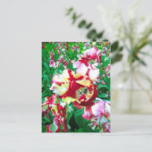 Speciale tulpen - Briefkaart (Staand voorkant)