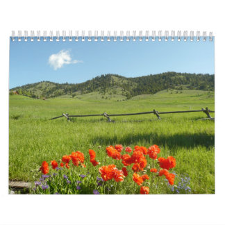 Speciale Vakplaatsen Kalender