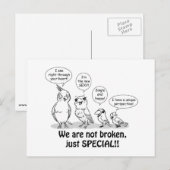 Speciale vogels briefkaart (Voorkant / Achterkant)