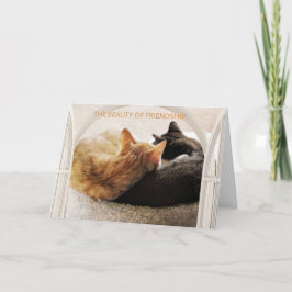 SPECIALE VRIEND HAPPY BIRTHDAY KAART