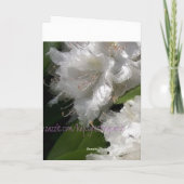 Speciale vriend kaart (Achterkant)