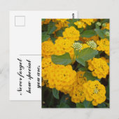 Speciale vriendelijke positieve gele bloemen aanmo briefkaart (Voorkant / Achterkant)
