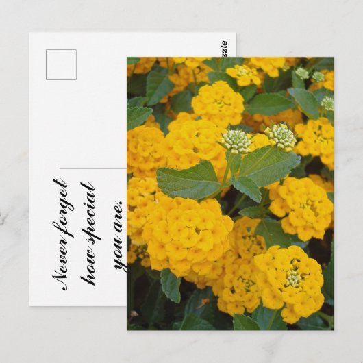 Speciale vriendelijke positieve gele bloemen aanmo briefkaart (Voorkant / Achterkant)