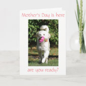 SPECIALE WENS VOOR ***MAM*** OP MOEDERDAG KAART (Voorkant)