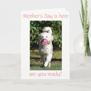 SPECIALE WENS VOOR ***MAM*** OP MOEDERDAG KAART