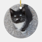Specialiseer Tuxedo black en white kitten Keramisch Ornament (Achterkant)
