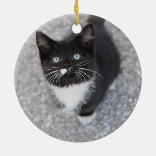 Specialiseer Tuxedo black en white kitten Keramisch Ornament (Achterkant)