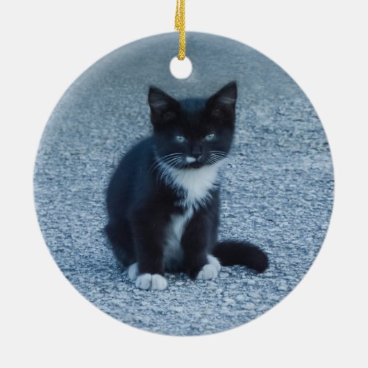 Specialiseer Tuxedo black en white kitten Keramisch Ornament (Achterkant)