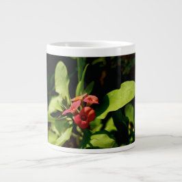 Specialty Mug Grote Koffiekop