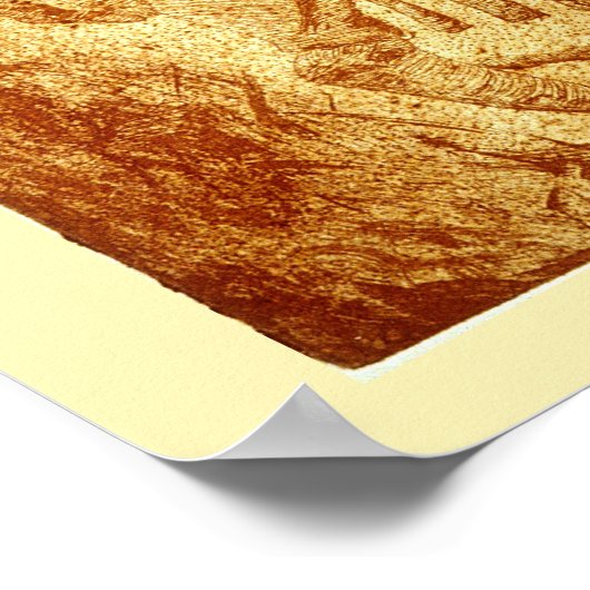 Specimen #2: Sphinx Fossil Poster (Hoek)