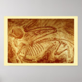 Specimen #2: Sphinx Fossil Poster (Voorkant)